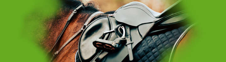 mood dressursattel 2876x800